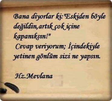 mevlana celaleddını rumının anlamli sozlerı ask hasret sevgı dın (1)